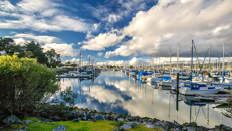 Relax at the Berkeley Marina