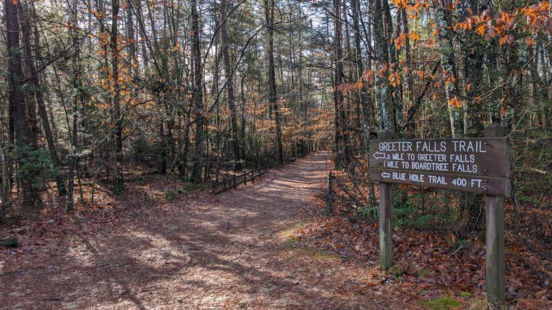 Savage Gulf State Natural Area
