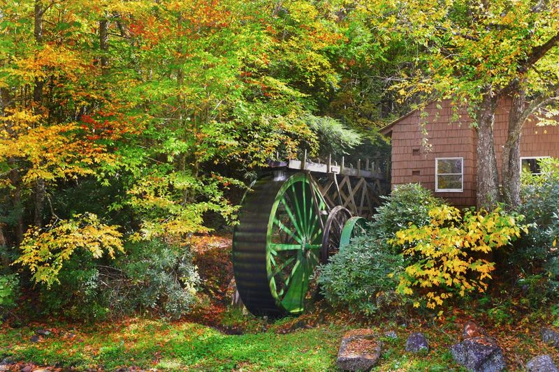 Roan Mountain State Park &mdash; Roan Mountain