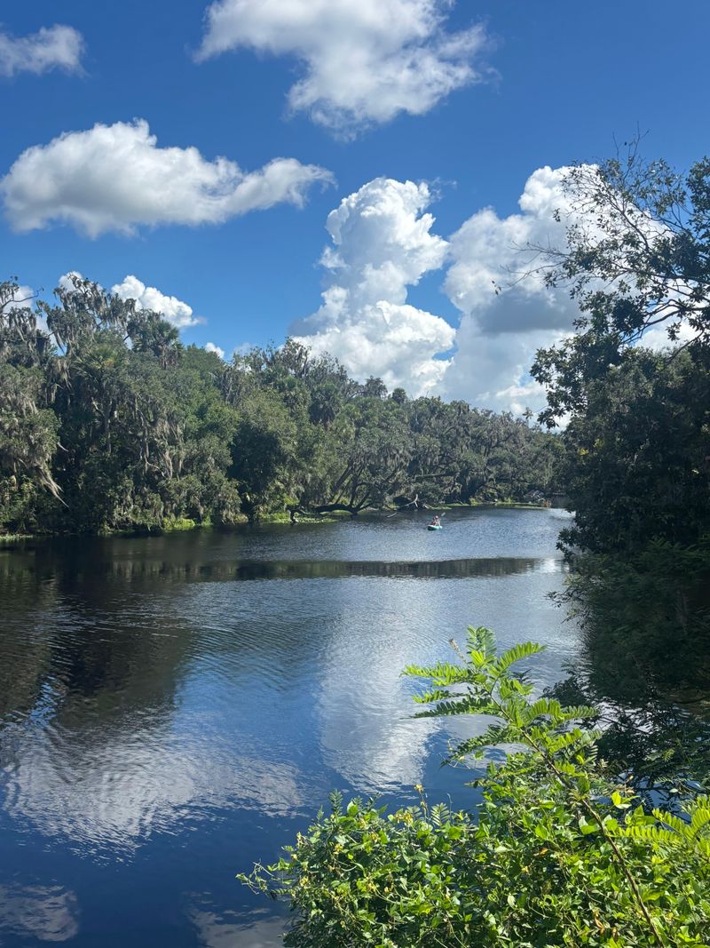 Blue Spring State Park (Orange City)