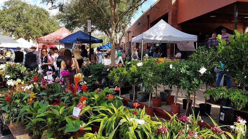 Winter Garden Farmers Market – Winter Garden