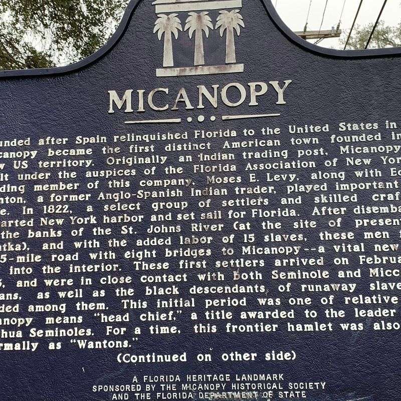 Why Micanopy Feels Like a Step Back in Time