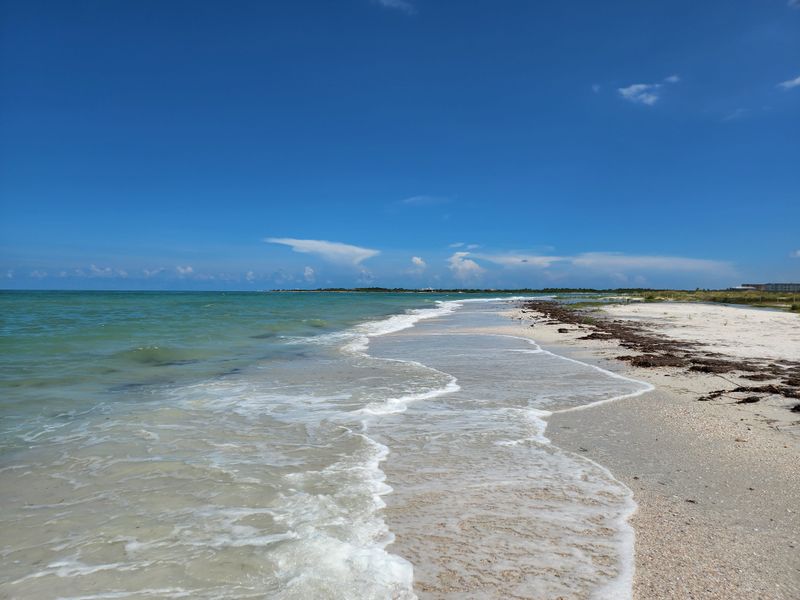 Caladesi Island State Park (Dunedin)