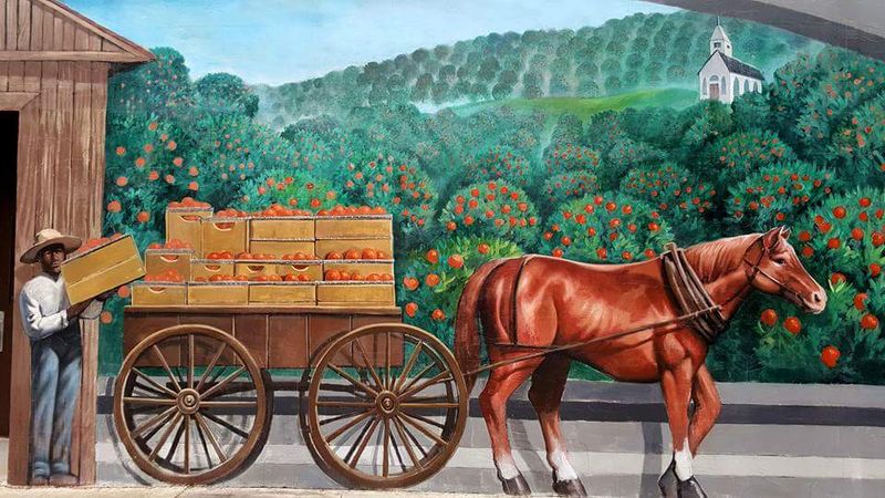 The Stories Behind the 50+ Hand-Painted Murals