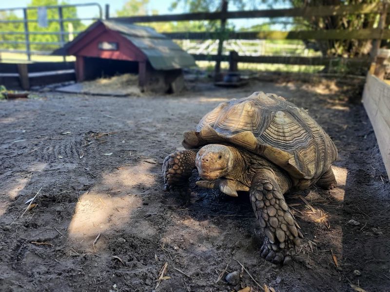 Smart Planning Tips For A Smooth Visit