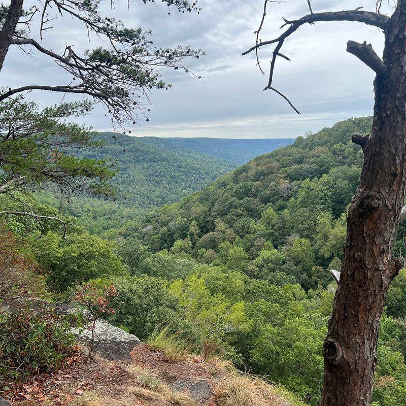 Fiery Gizzard Trail &mdash; South Cumberland State Park