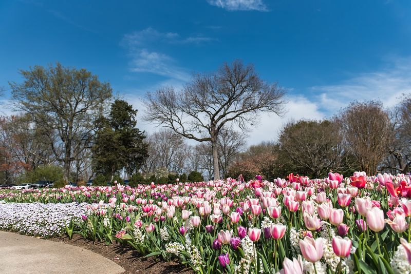 Cheekwood Estate & Gardens &mdash; Nashville