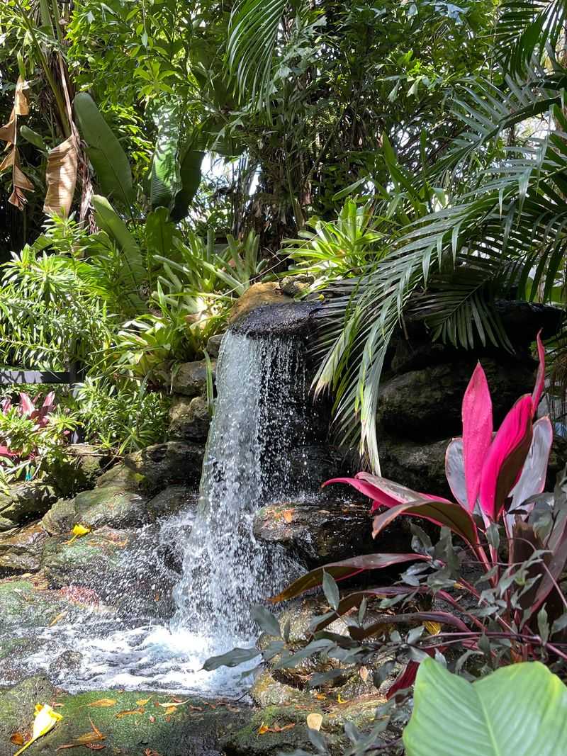 Marie Selby Botanical Gardens