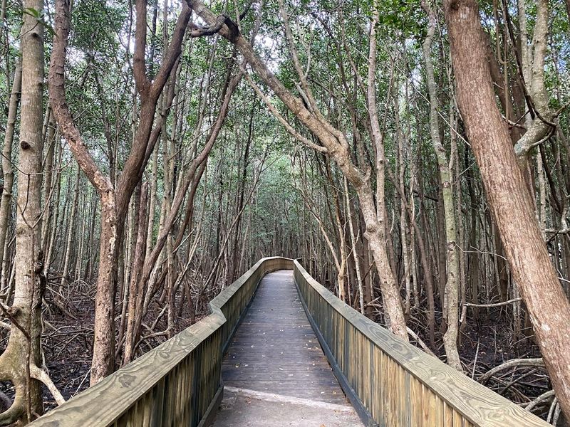 The guided nature experiences (and the “best season” insider tip)