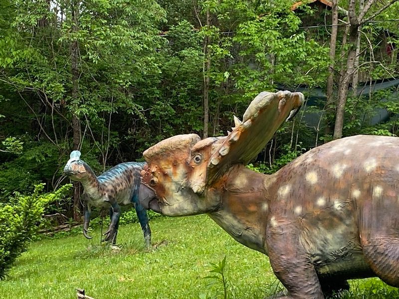 More Than Just Dinosaurs