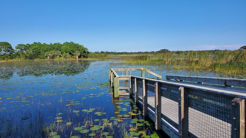 Savannas Preserve State Park Trails