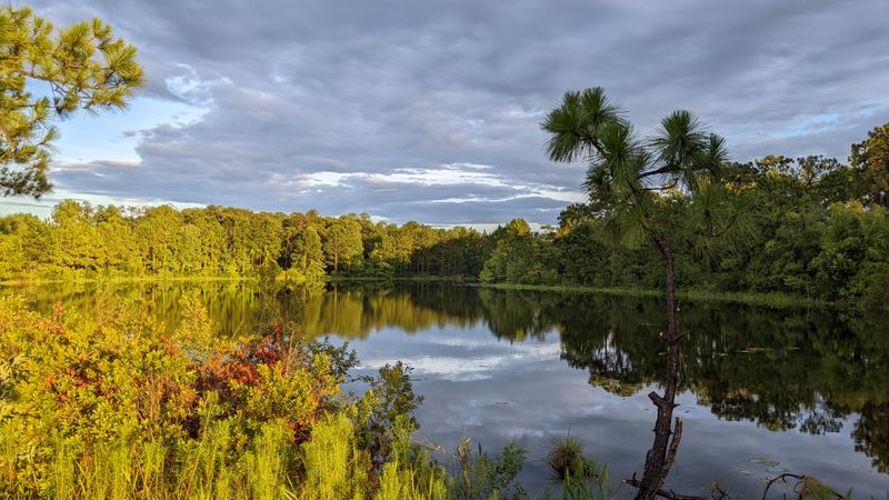 Get outdoors at the UCF Arboretum