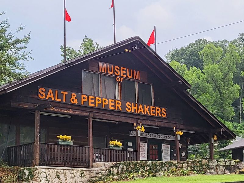 Salt and Pepper Shaker Museum &mdash; Gatlinburg
