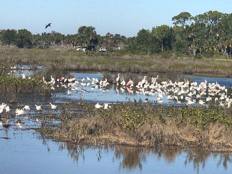 Merritt Island National Wildlife Refuge