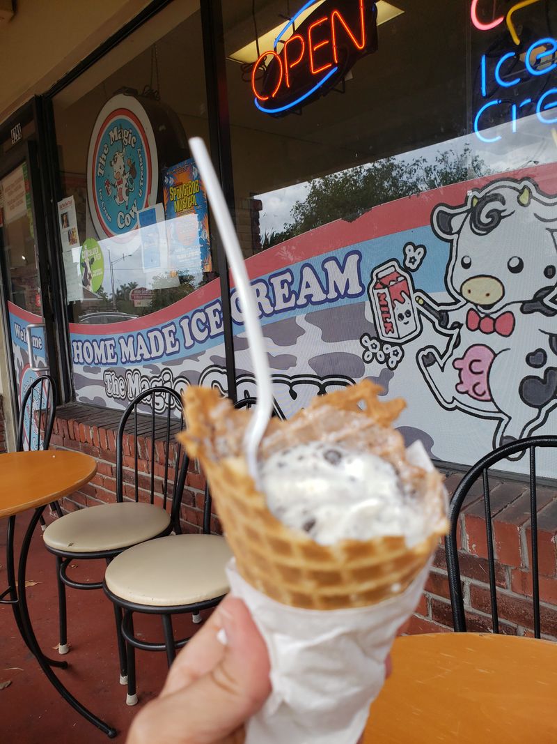 The Magic Cow! – Davie, FL