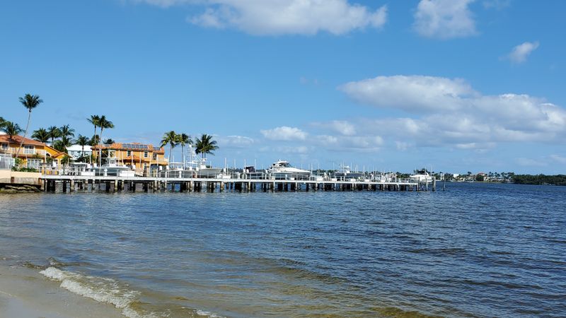 When to Go: Timing for Peak Ray Activity