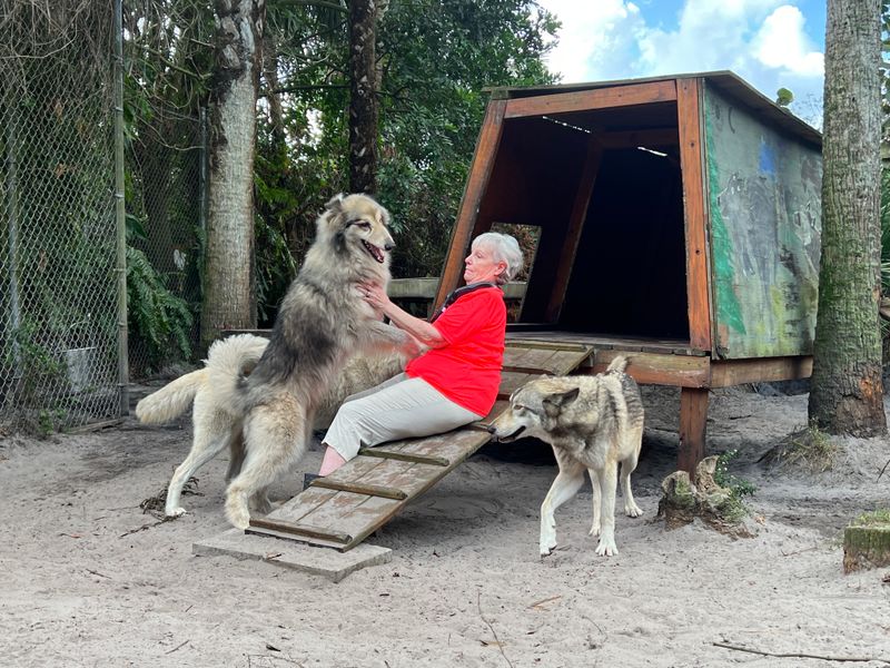 Why This Place Matters