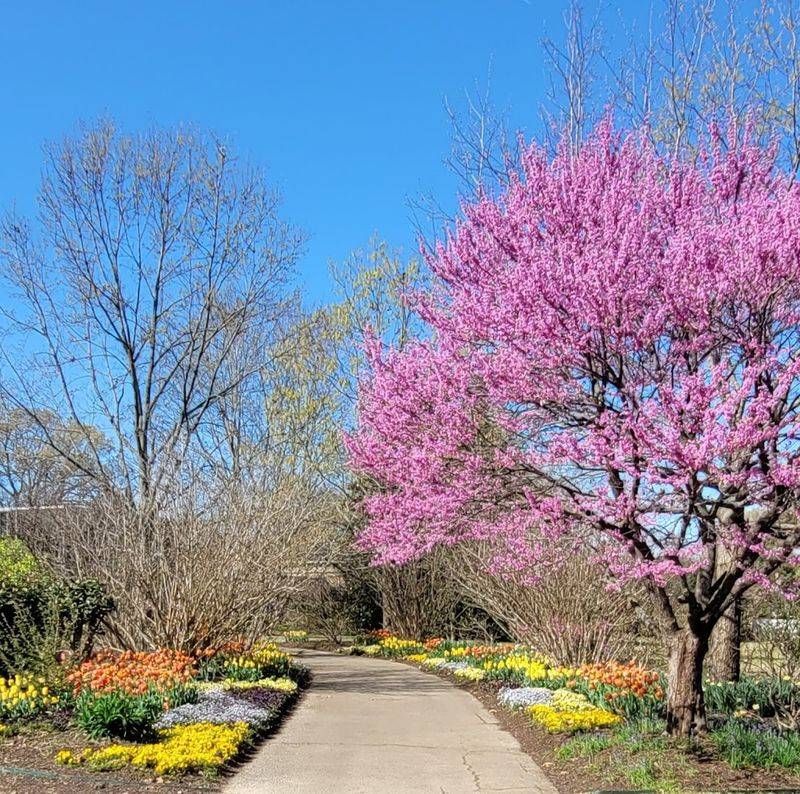 Memphis Botanic Garden &mdash; Memphis