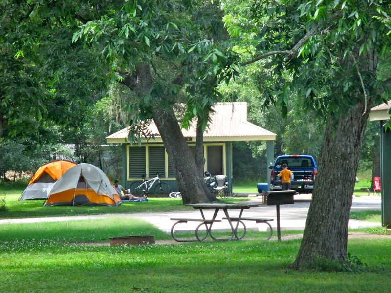 Brazos Bend State Park