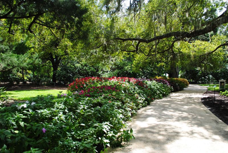 Harry P. Leu Gardens (Orlando)