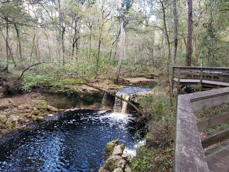 Falling Creek Falls (Lake City)