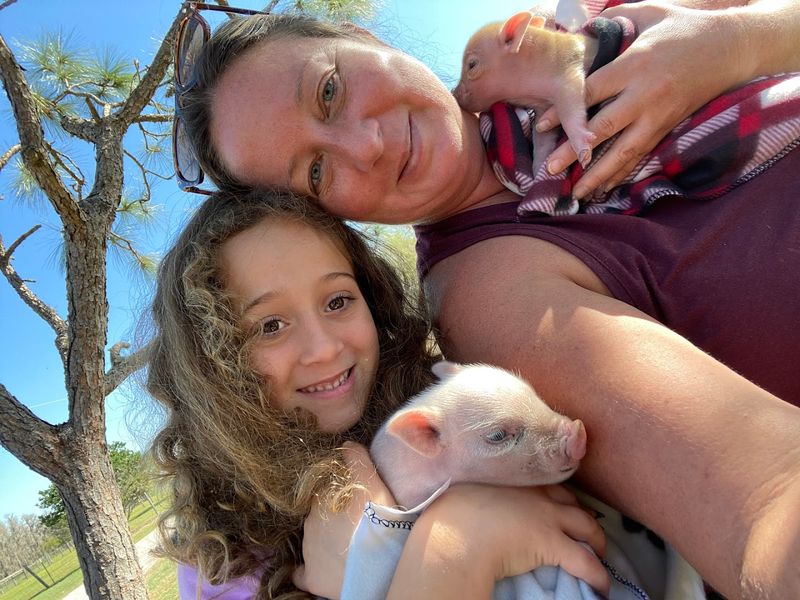 Adopting A Mini Pig Responsibly