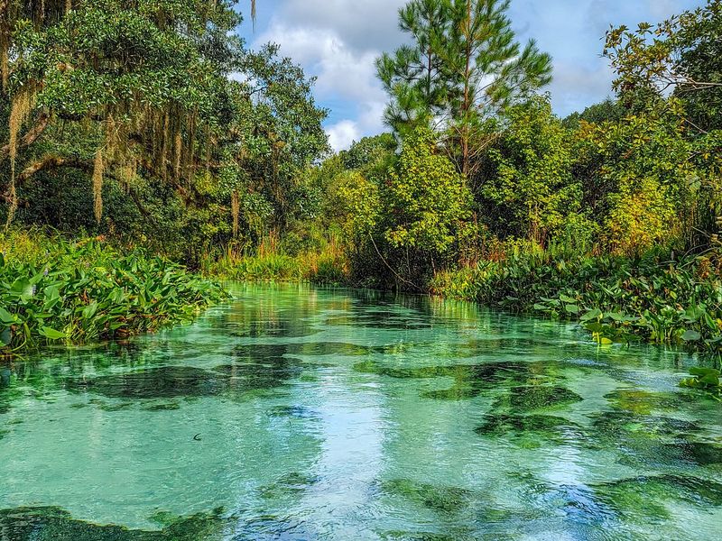 When To Go And How Long