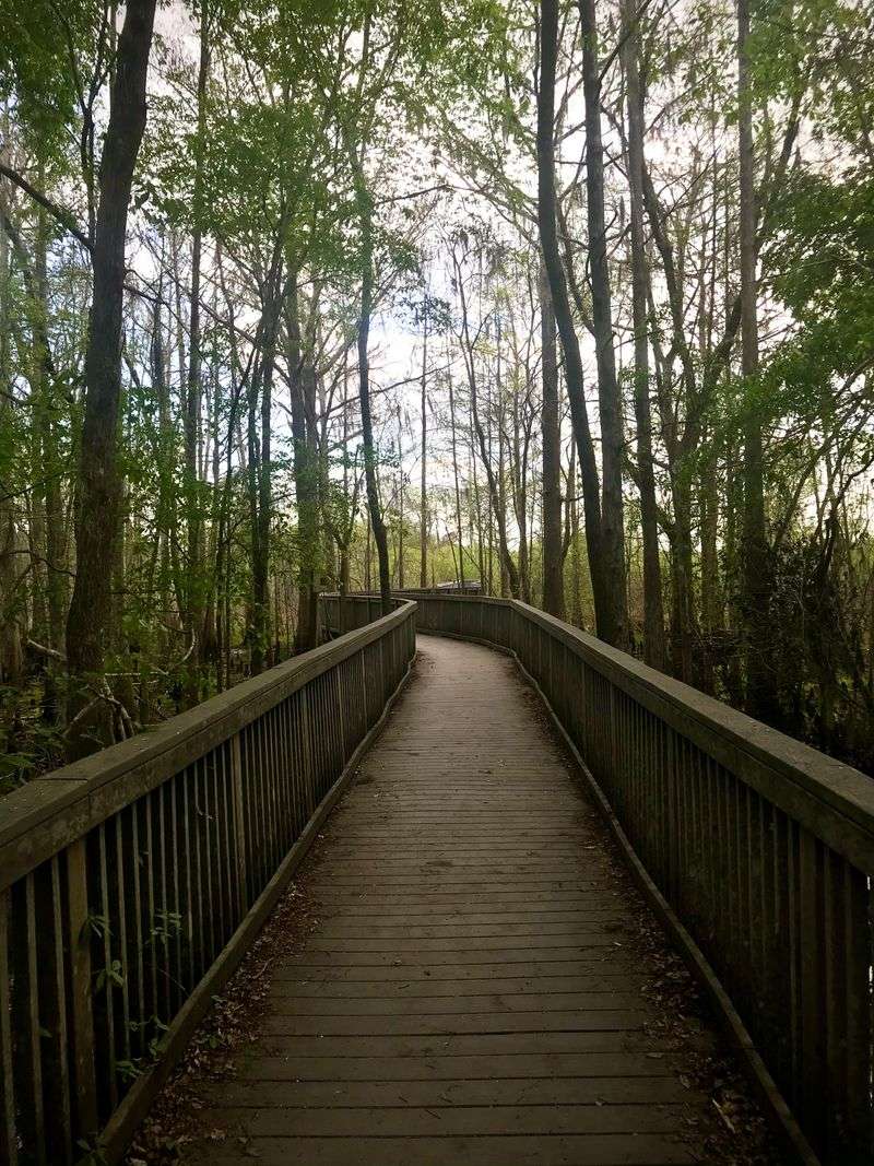 Trail Length, Terrain, and Difficulty: Is This Hike Right for You?