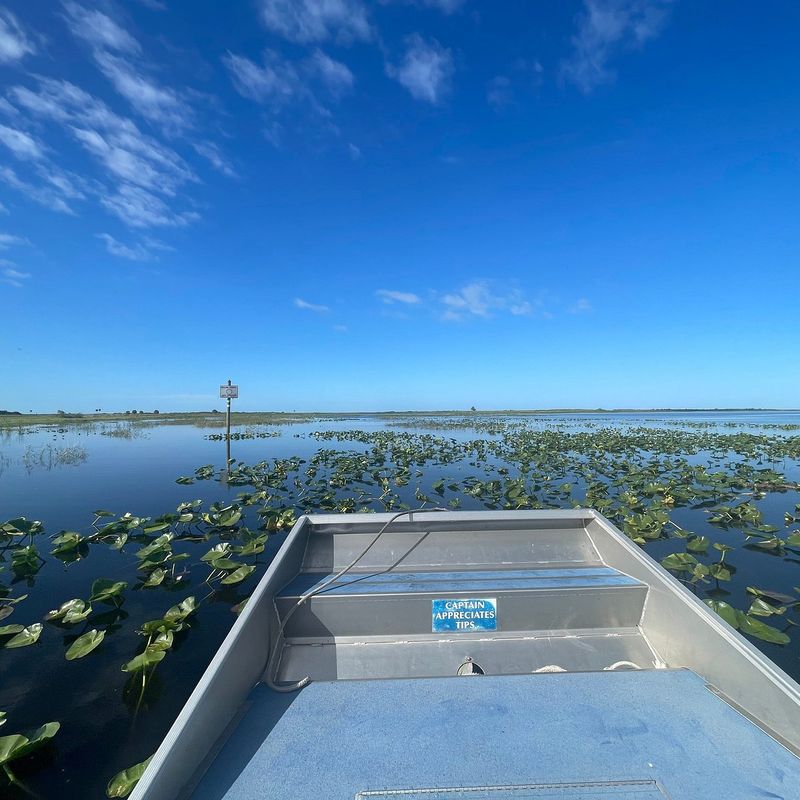 Kissimmee Swamp Tours (Lake Kissimmee region)