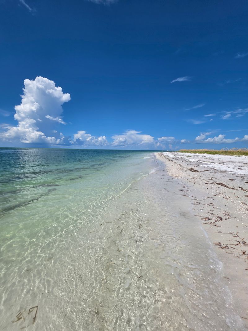 A Pristine Landscape of White Sand, Shells, and Turquoise Water