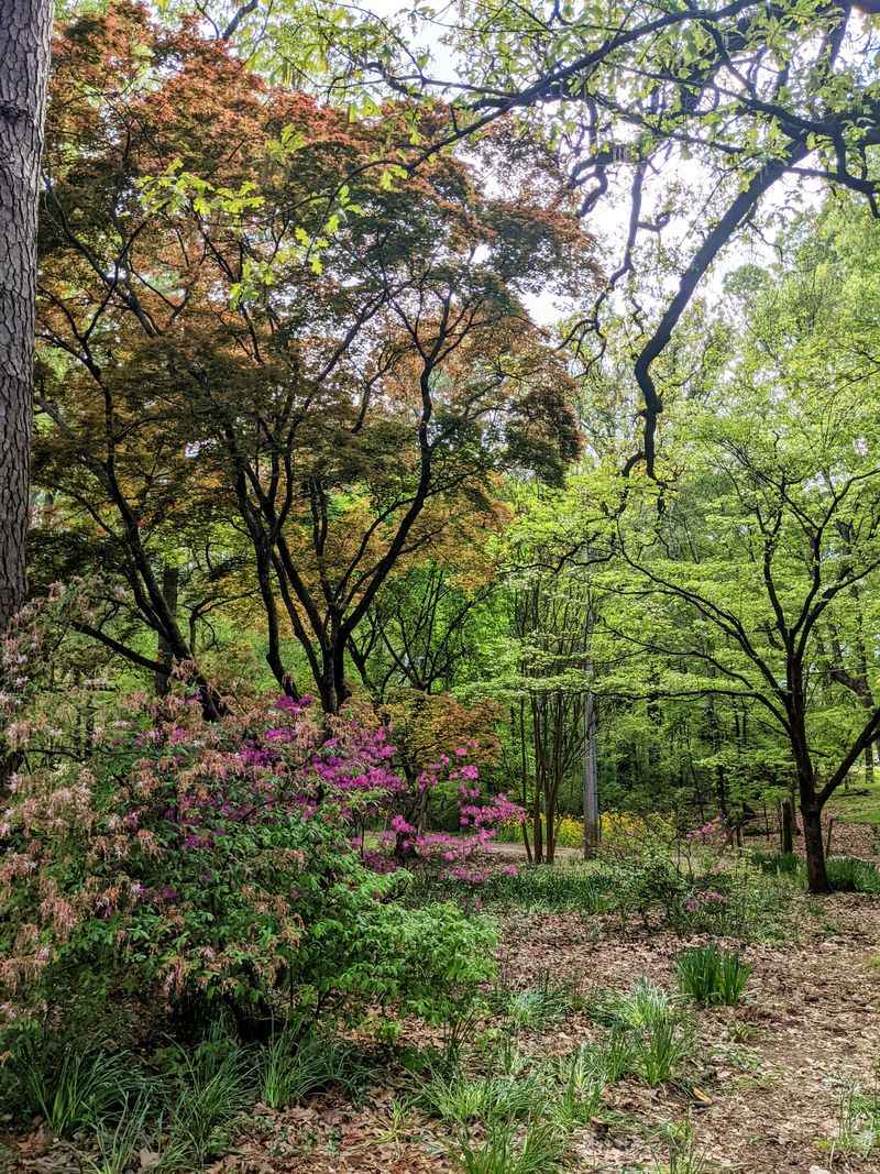 Oaklawn Garden (Germantown)