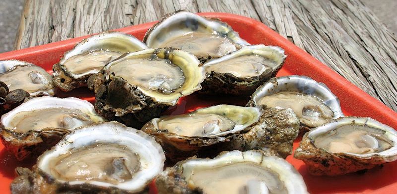 When to Visit for the Best Food and Shortest Lines