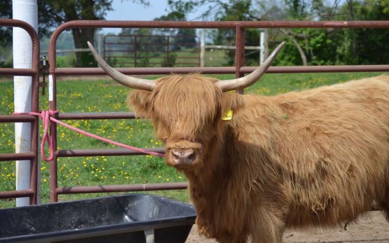 What to Expect During Your Visit