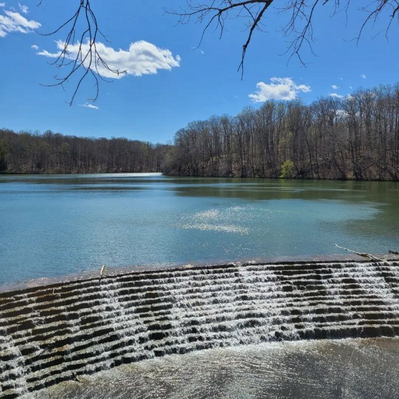 Montgomery Bell State Park (Burns)