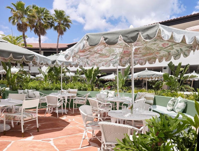 Honeybelle (Palm Beach Gardens)