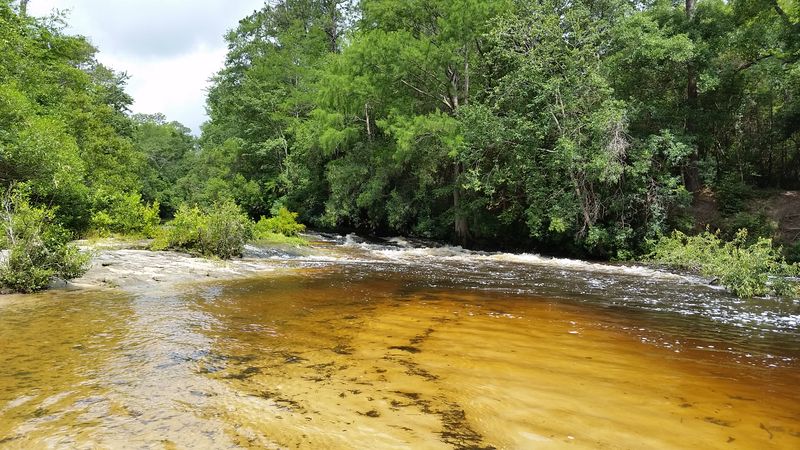 Blackwater River (Milton / Panhandle)
