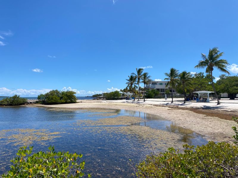 What Makes Tavernier Feel Different From Other Keys Towns