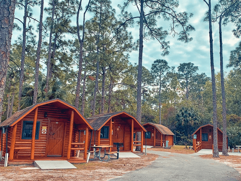 What Is the Lion Country Safari KOA?