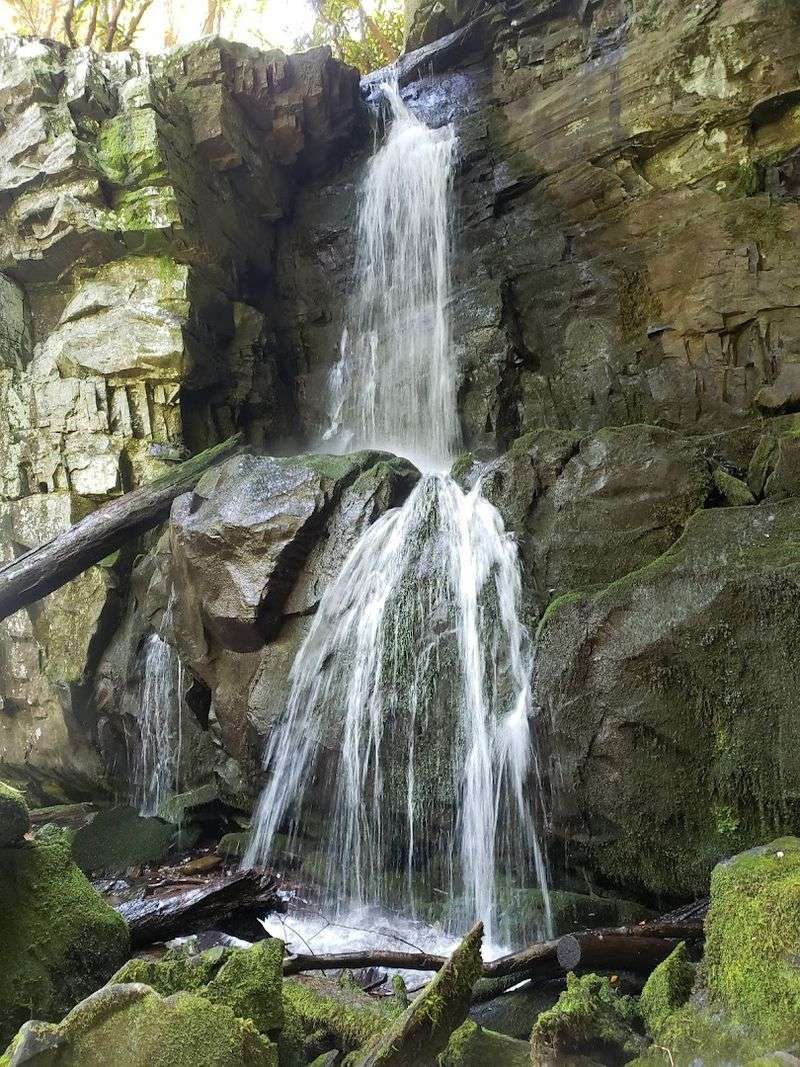 Baskins Creek Falls (Gatlinburg)