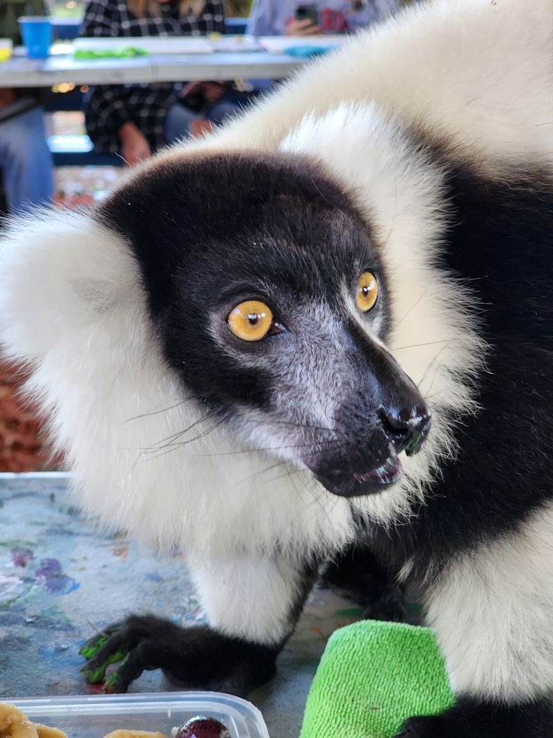 Plan Like A Pro: Tickets, Weather, And Accessibility