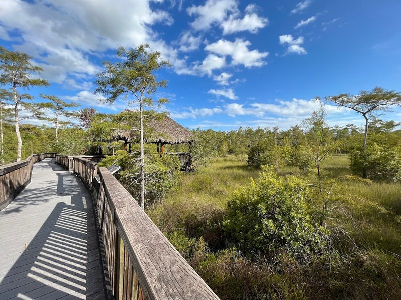 Kirby Storter Boardwalk (Big Cypress National Preserve | US-41/Tamiami)