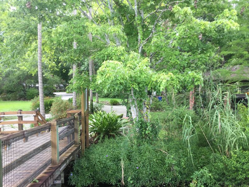 Homosassa River (Citrus County)