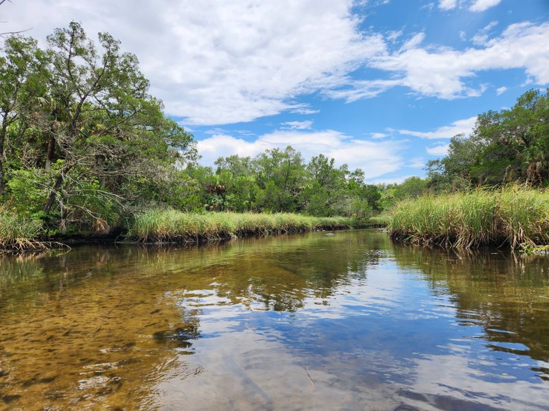 Chassahowitzka River Campground Trails (Citrus County)