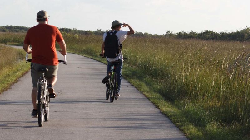Bike the Shark Valley loop in Everglades National Park