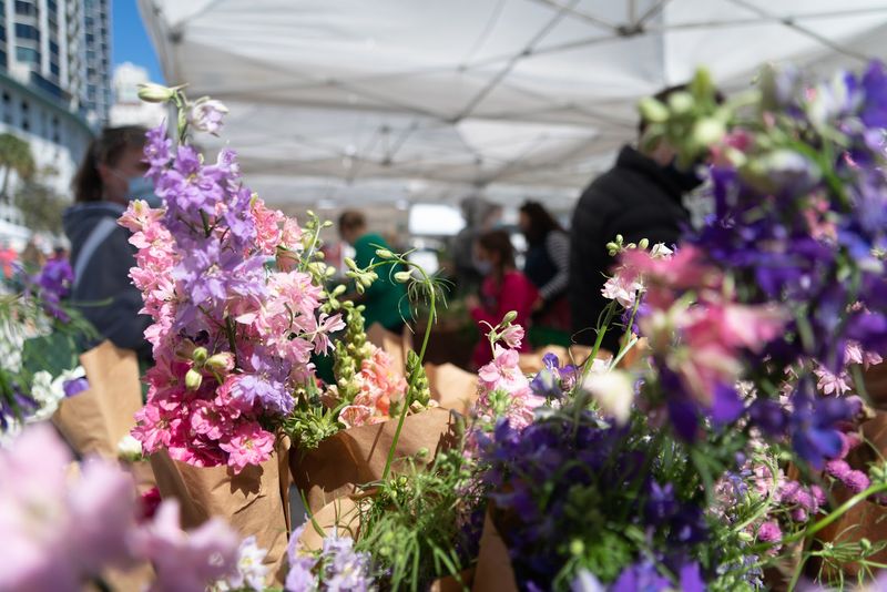 Budget Friendly Shopping With Big Flavor