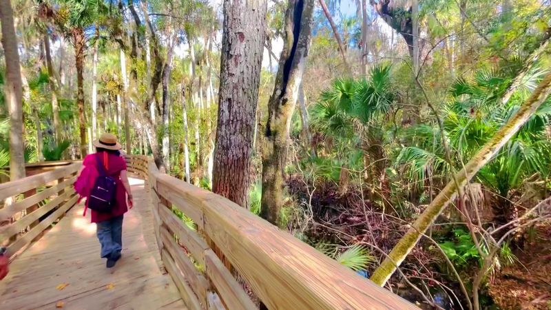 Pick your Florida wild focus first