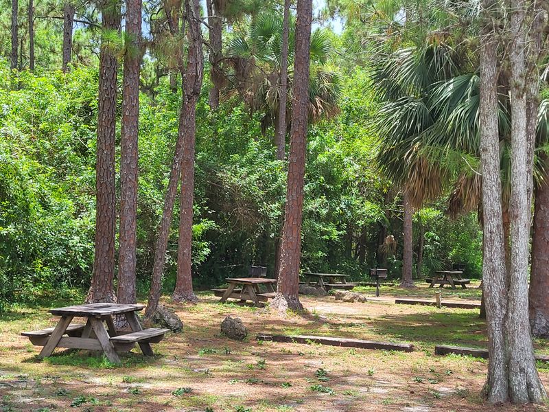 What This Means for Future Visitors and Local Campers