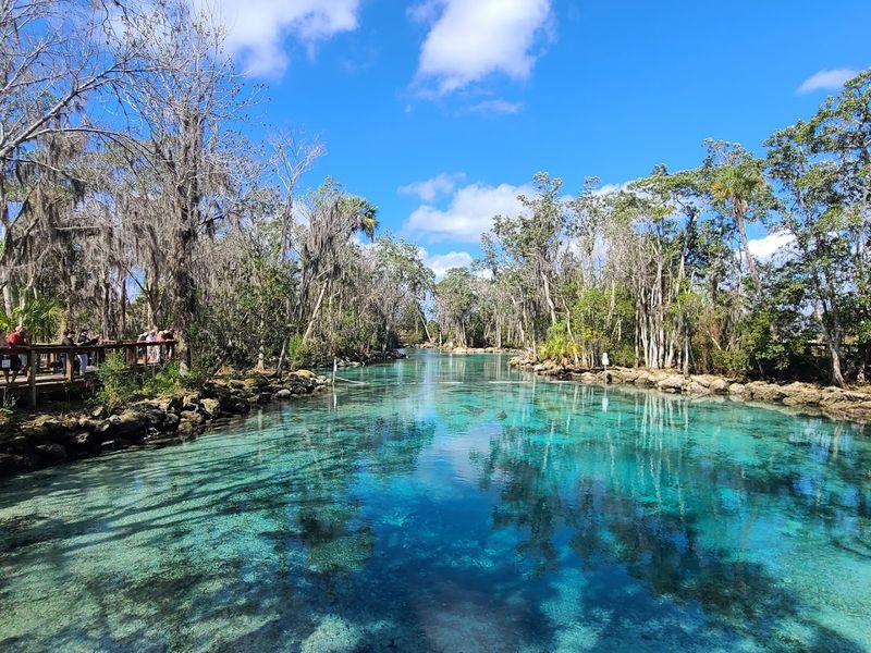 Three Sisters Springs (Crystal River)