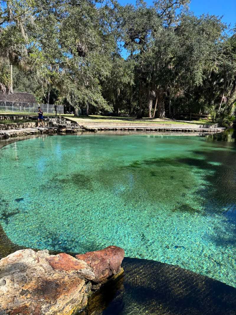 Ocala National Forest Wilderness