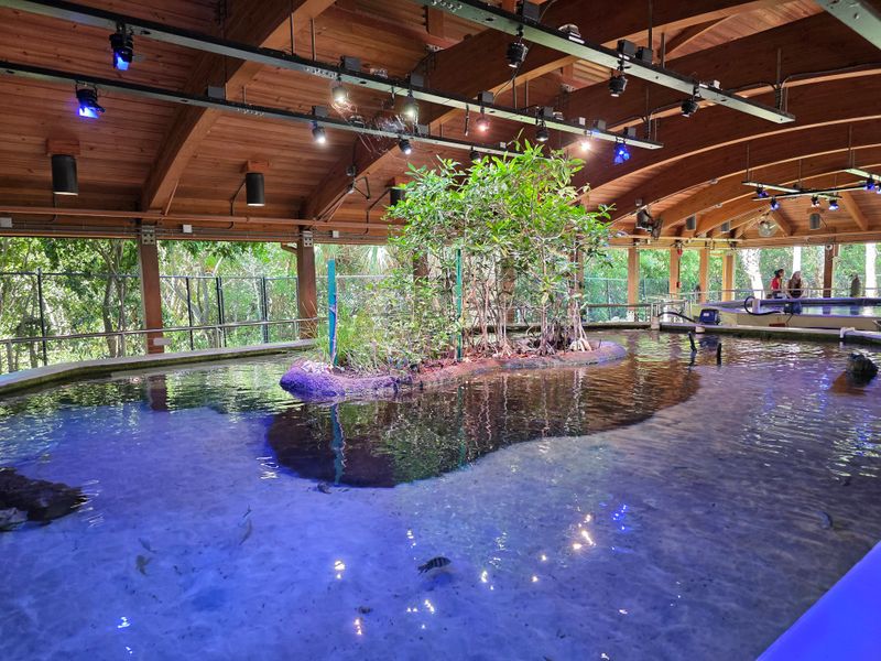 Gumbo Limbo Nature Center